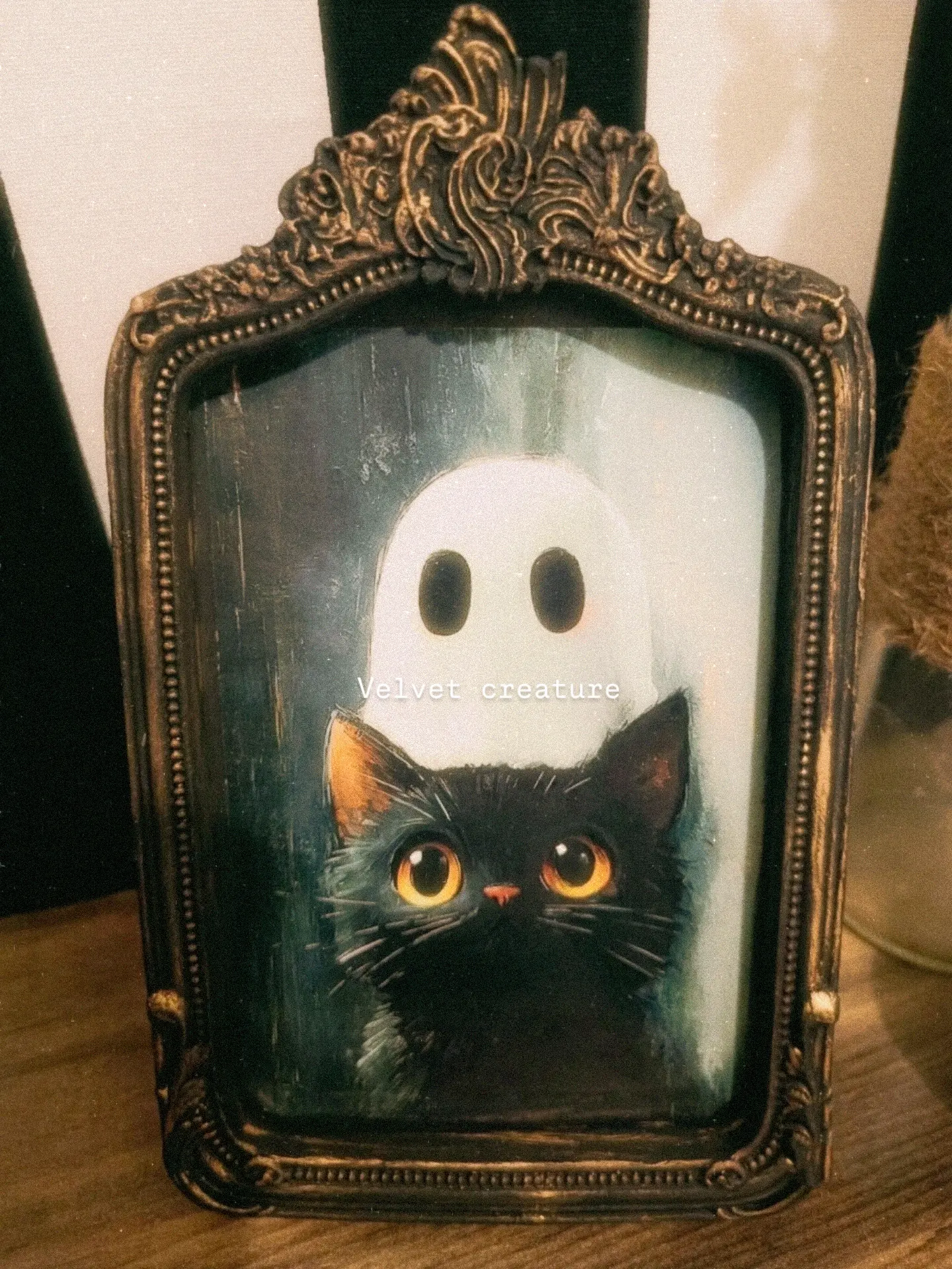 🕯️ chat Noir 🕯️