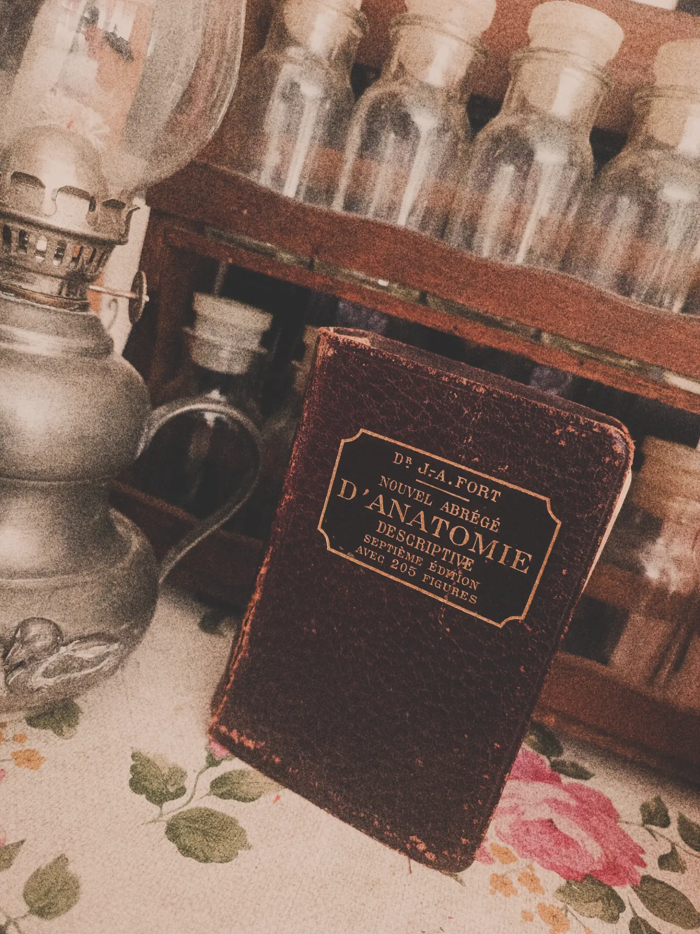 🕯️ abrégé anatomie 🕯️