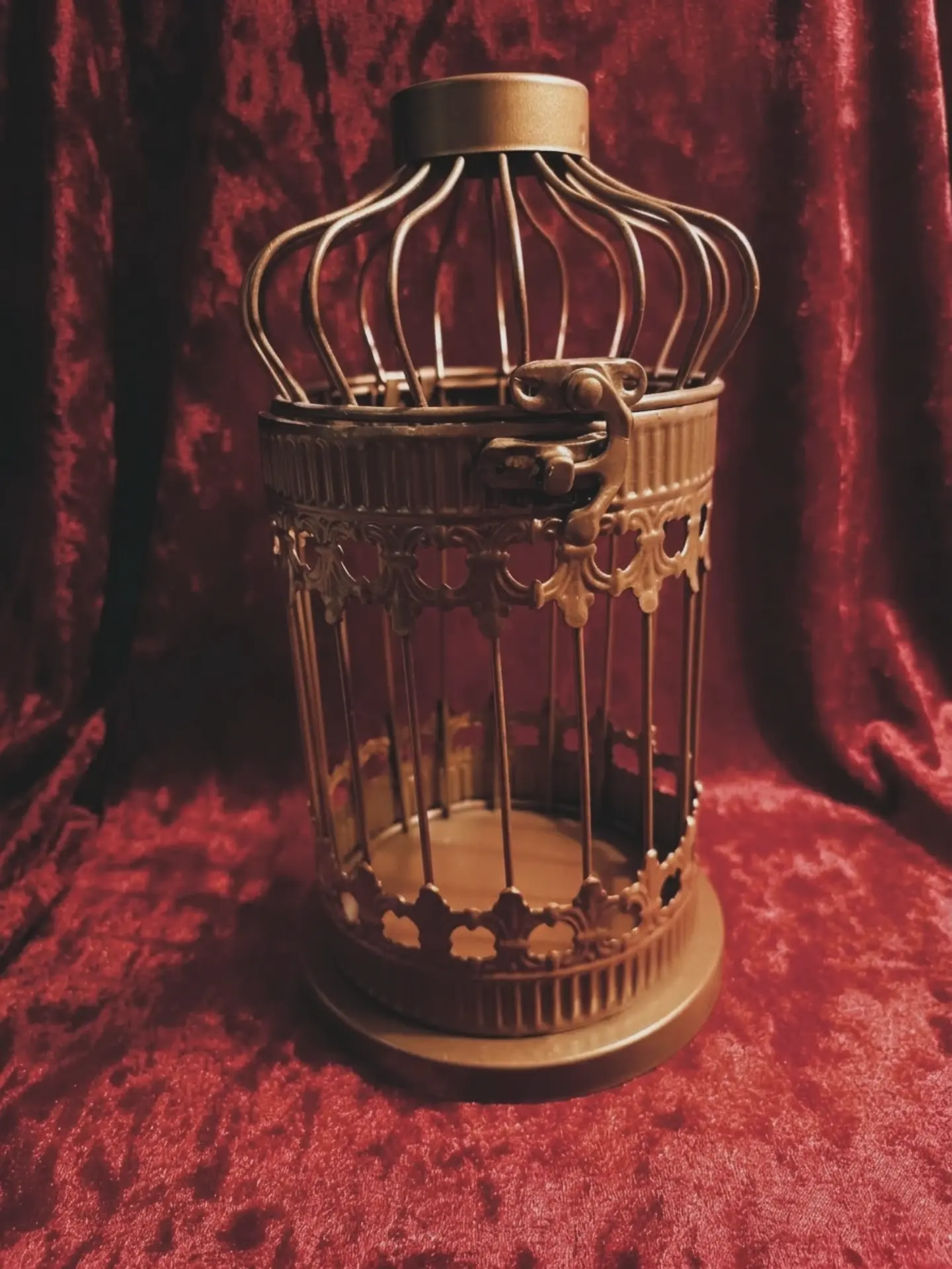 ✨ Cage Dorée ✨
