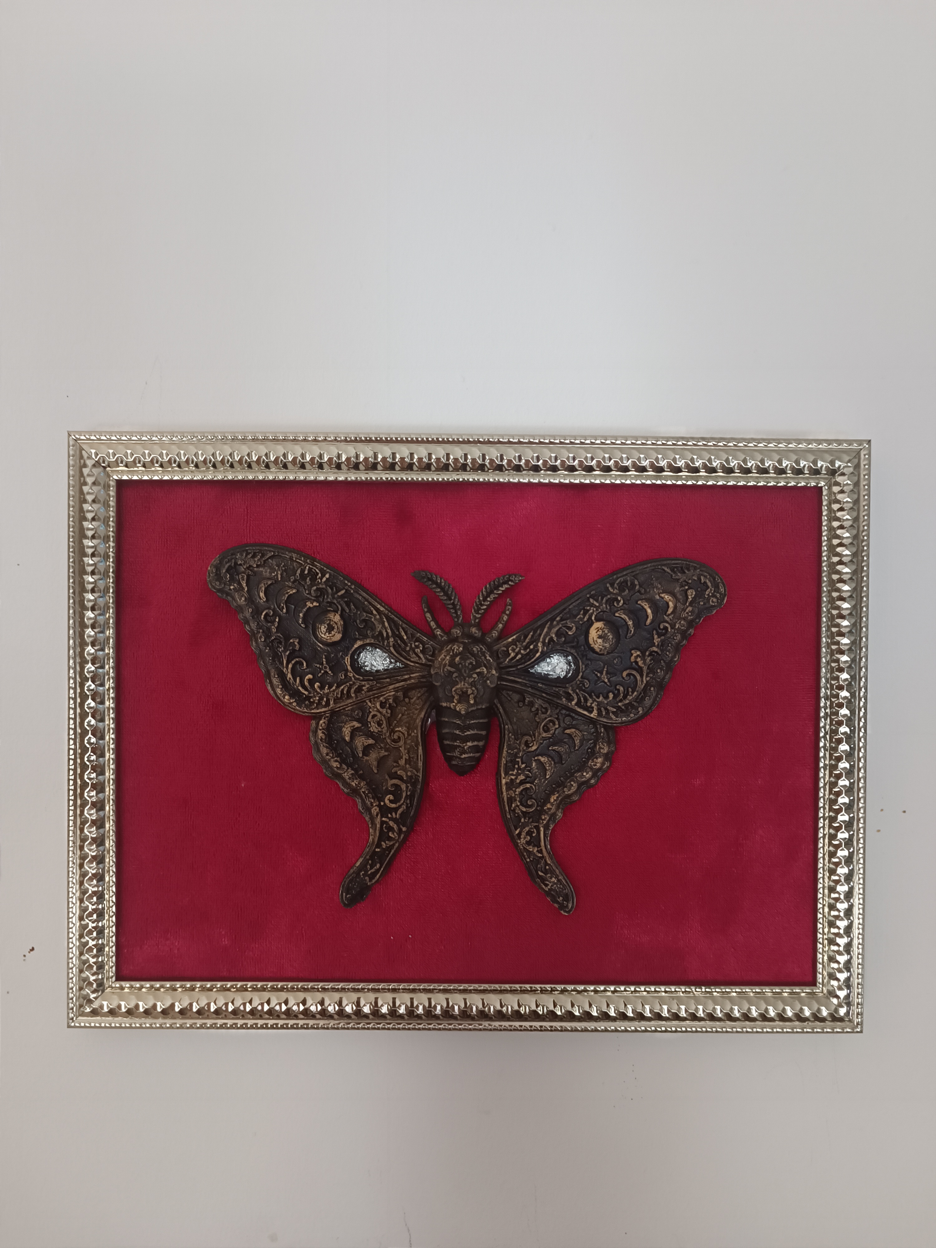 Carte papillon 🦋
